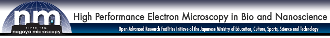 High Performance Electron Microscopy in Support of Bio and Nanoscience